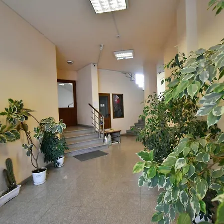 Panoramic Terrace View In Center