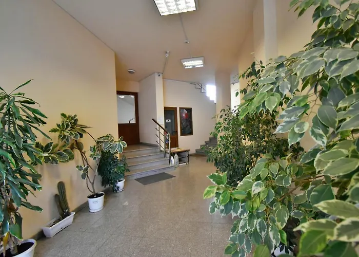 Panoramic Terrace View In Center